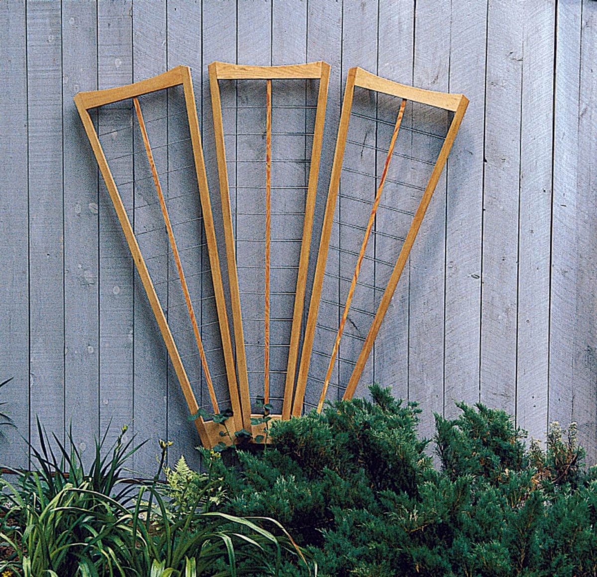 Fan Trellis Trellis Structures